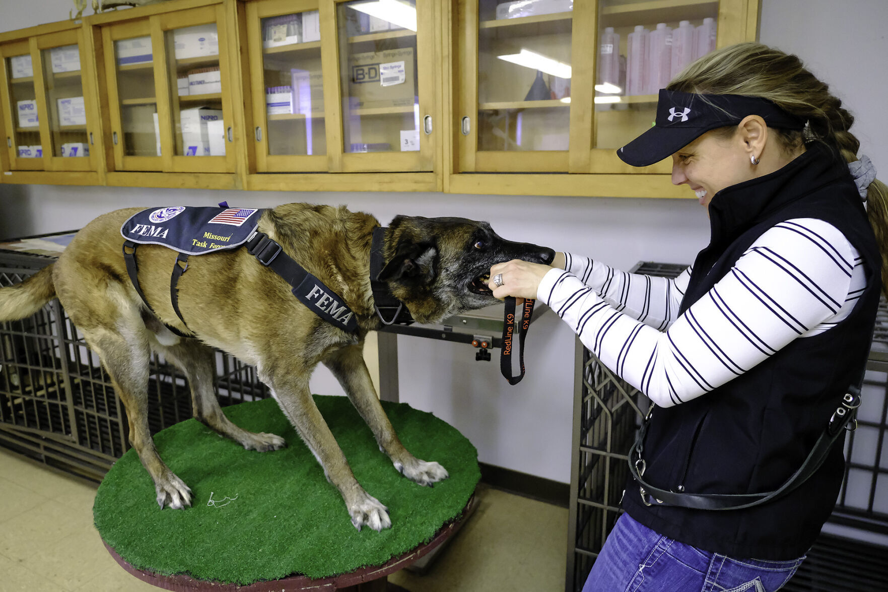 032322-nws-dogs-1.jpg